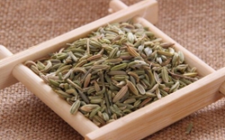 如何選擇茶葉包裝機廠家？選擇標準解析茶葉包裝機廠家。